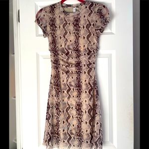 Animal print mesh summer dress